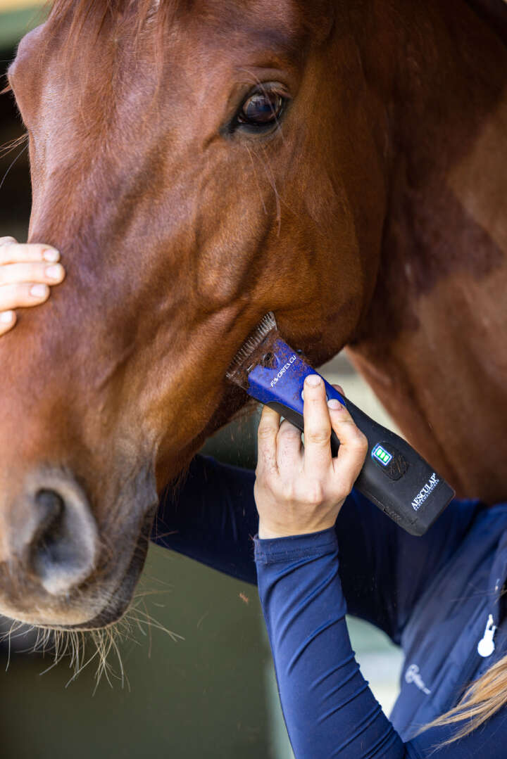 AESCULAP Akkuschermaschine Favorita CLi